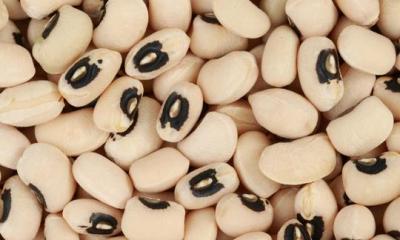 Cowpeas