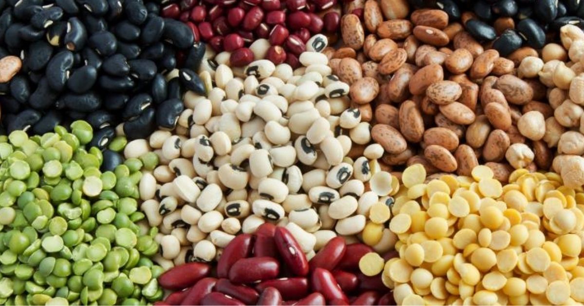 East Africa leads in pulses exports to India