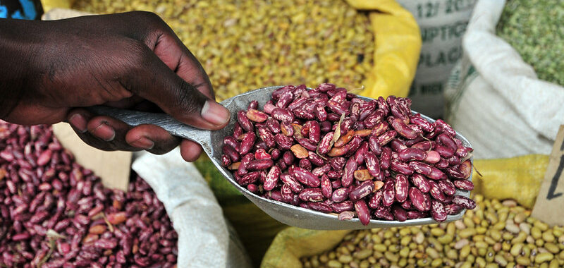 Future of Pulses